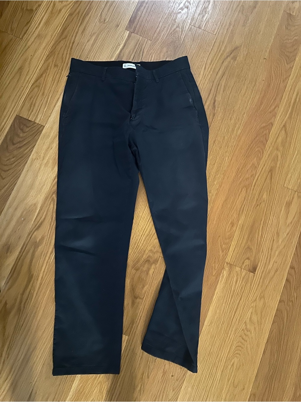 Everlane Navy Chino Pants